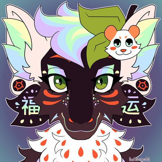 Symmetric plain pfp - 30$
